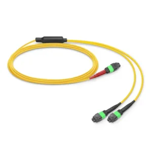 24 Fibers MTP-24 to 2 x MTP-12 SM Fiber Optic Patch Cable | High-Density Data Center Connectivity