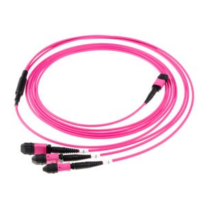 24-Fiber MPO OM4 Breakout Patch Cable with 3×MPO-8 for High-Density Data Centers