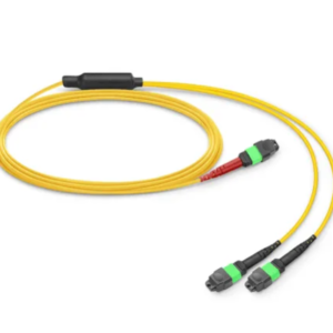 24 Fibers MTP-24 to 2 x MTP-12 SM Fiber Optic Patch Cable | High-Density Data Center Connectivity